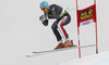 Christof Innerhofer of Italy skiing during second training run of men Audi FIS Alpine skiing World cup downhill race in Val Gardena, Italy. Second training run for men downhill race of Audi FIS Alpine skiing World cup 2013-2014 was held on Thursday, 19th of December 2013 on Saslong course in Val Gardena, Italy.
