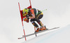 Manuel Osborne-Paradis of Canada skiing during second training run of men Audi FIS Alpine skiing World cup downhill race in Val Gardena, Italy. Second training run for men downhill race of Audi FIS Alpine skiing World cup 2013-2014 was held on Thursday, 19th of December 2013 on Saslong course in Val Gardena, Italy.

