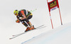 Manuel Osborne-Paradis of Canada skiing during second training run of men Audi FIS Alpine skiing World cup downhill race in Val Gardena, Italy. Second training run for men downhill race of Audi FIS Alpine skiing World cup 2013-2014 was held on Thursday, 19th of December 2013 on Saslong course in Val Gardena, Italy.
