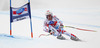 Third placed Adrien Theaux of France skiing during men Super-G race of Audi FIS Alpine skiing World cup in Val Gardena, Italy. Super-G race of Audi FIS Alpine skiing World cup 2013-2014 was held on Friday, 20th of December 2013 on Saslong course in Val Gardena, Italy.
