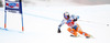 Winner Aksel Lund Svindal of Norway skiing during men Super-G race of Audi FIS Alpine skiing World cup in Val Gardena, Italy. Super-G race of Audi FIS Alpine skiing World cup 2013-2014 was held on Friday, 20th of December 2013 on Saslong course in Val Gardena, Italy.
