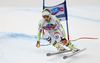 Tobias Stechert of Germany skiing during men Super-G race of Audi FIS Alpine skiing World cup in Val Gardena, Italy. Super-G race of Audi FIS Alpine skiing World cup 2013-2014 was held on Friday, 20th of December 2013 on Saslong course in Val Gardena, Italy.
