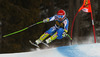 Andrej Sporn of Slovenia skiing during men downhill race of Audi FIS Alpine skiing World cup in Val Gardena, Italy. Men downhill race of Audi FIS Alpine skiing World cup 2013-2014 was held on Saturday, 21st of December 2013 on Saslong course in Val Gardena, Italy.
