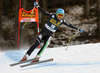 Christof Innerhofer of Italy skiing during men downhill race of Audi FIS Alpine skiing World cup in Val Gardena, Italy. Men downhill race of Audi FIS Alpine skiing World cup 2013-2014 was held on Saturday, 21st of December 2013 on Saslong course in Val Gardena, Italy.
