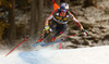 Winner Erik Guay of Canada skiing during men downhill race of Audi FIS Alpine skiing World cup in Val Gardena, Italy. Men downhill race of Audi FIS Alpine skiing World cup 2013-2014 was held on Saturday, 21st of December 2013 on Saslong course in Val Gardena, Italy.
