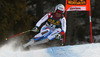 Didier Defago of Switzerland skiing during men downhill race of Audi FIS Alpine skiing World cup in Val Gardena, Italy. Men downhill race of Audi FIS Alpine skiing World cup 2013-2014 was held on Saturday, 21st of December 2013 on Saslong course in Val Gardena, Italy.
