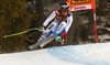 Sandro Viletta of Switzerland skiing during men downhill race of Audi FIS Alpine skiing World cup in Val Gardena, Italy. Men downhill race of Audi FIS Alpine skiing World cup 2013-2014 was held on Saturday, 21st of December 2013 on Saslong course in Val Gardena, Italy.
