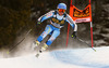 Douglas Hedin of Sweden skiing during men downhill race of Audi FIS Alpine skiing World cup in Val Gardena, Italy. Men downhill race of Audi FIS Alpine skiing World cup 2013-2014 was held on Saturday, 21st of December 2013 on Saslong course in Val Gardena, Italy.
