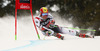Marcel Hirscher of Austria skiing in first run men giant slalom race of Audi FIS Alpine skiing World cup in Alta Badia Italy. Men giant slalom race of Audi FIS Alpine skiing World cup 2013-2014 was held on Sunday, 22nd of December 2013 on Gran Risa course in Alta Badia, Italy.
