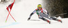 Victor Malmstrom of Finland skiing in first run men giant slalom race of Audi FIS Alpine skiing World cup in Alta Badia Italy. Men giant slalom race of Audi FIS Alpine skiing World cup 2013-2014 was held on Sunday, 22nd of December 2013 on Gran Risa course in Alta Badia, Italy.
