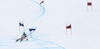 Fourth placed Fritz Dopfer of Germany skiing in second run men giant slalom race of Audi FIS Alpine skiing World cup in Alta Badia Italy. Men giant slalom race of Audi FIS Alpine skiing World cup 2013-2014 was held on Sunday, 22nd of December 2013 on Gran Risa course in Alta Badia, Italy.
