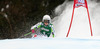 Viktoria Rebensburg of Germany skiing in first run of women giant slalom race of Audi FIS Alpine skiing World cup in Lienz, Austria. Women giant slalom race of Audi FIS Alpine skiing World cup 2013-2014 was held on Saturday, 28th of December 2013 in Lienz, Austria.
