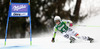 Viktoria Rebensburg of Germany skiing in first run of women giant slalom race of Audi FIS Alpine skiing World cup in Lienz, Austria. Women giant slalom race of Audi FIS Alpine skiing World cup 2013-2014 was held on Saturday, 28th of December 2013 in Lienz, Austria.
