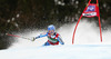 Jessica Lindell-Vikarby of Sweden skiing in first run of women giant slalom race of Audi FIS Alpine skiing World cup in Lienz, Austria. Women giant slalom race of Audi FIS Alpine skiing World cup 2013-2014 was held on Saturday, 28th of December 2013 in Lienz, Austria.
