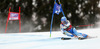 Jessica Lindell-Vikarby of Sweden skiing in first run of women giant slalom race of Audi FIS Alpine skiing World cup in Lienz, Austria. Women giant slalom race of Audi FIS Alpine skiing World cup 2013-2014 was held on Saturday, 28th of December 2013 in Lienz, Austria.
