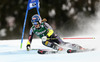 Mikaela Shiffrin of USA skiing in first run of women giant slalom race of Audi FIS Alpine skiing World cup in Lienz, Austria. Women giant slalom race of Audi FIS Alpine skiing World cup 2013-2014 was held on Saturday, 28th of December 2013 in Lienz, Austria.
