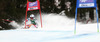 Tina Weirather of Liechtenstein skiing in first run of women giant slalom race of Audi FIS Alpine skiing World cup in Lienz, Austria. Women giant slalom race of Audi FIS Alpine skiing World cup 2013-2014 was held on Saturday, 28th of December 2013 in Lienz, Austria.
