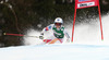Tina Weirather of Liechtenstein skiing in first run of women giant slalom race of Audi FIS Alpine skiing World cup in Lienz, Austria. Women giant slalom race of Audi FIS Alpine skiing World cup 2013-2014 was held on Saturday, 28th of December 2013 in Lienz, Austria.
