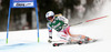 Tina Weirather of Liechtenstein skiing in first run of women giant slalom race of Audi FIS Alpine skiing World cup in Lienz, Austria. Women giant slalom race of Audi FIS Alpine skiing World cup 2013-2014 was held on Saturday, 28th of December 2013 in Lienz, Austria.
