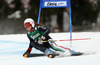 Federica Brignone of Italy skiing in first run of women giant slalom race of Audi FIS Alpine skiing World cup in Lienz, Austria. Women giant slalom race of Audi FIS Alpine skiing World cup 2013-2014 was held on Saturday, 28th of December 2013 in Lienz, Austria.
