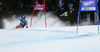 Nina Loeseth of Norway skiing in first run of women giant slalom race of Audi FIS Alpine skiing World cup in Lienz, Austria. Women giant slalom race of Audi FIS Alpine skiing World cup 2013-2014 was held on Saturday, 28th of December 2013 in Lienz, Austria.
