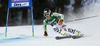 Susanne Weinbuchner of Germany skiing in first run of women giant slalom race of Audi FIS Alpine skiing World cup in Lienz, Austria. Women giant slalom race of Audi FIS Alpine skiing World cup 2013-2014 was held on Saturday, 28th of December 2013 in Lienz, Austria.
