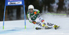 Simona Hoesl of Germany skiing in first run of women giant slalom race of Audi FIS Alpine skiing World cup in Lienz, Austria. Women giant slalom race of Audi FIS Alpine skiing World cup 2013-2014 was held on Saturday, 28th of December 2013 in Lienz, Austria.
