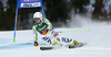 Simona Hoesl of Germany skiing in first run of women giant slalom race of Audi FIS Alpine skiing World cup in Lienz, Austria. Women giant slalom race of Audi FIS Alpine skiing World cup 2013-2014 was held on Saturday, 28th of December 2013 in Lienz, Austria.
