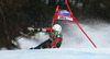 Erin Mielzynski of Canada crashes in first run of women giant slalom race of Audi FIS Alpine skiing World cup in Lienz, Austria. Women giant slalom race of Audi FIS Alpine skiing World cup 2013-2014 was held on Saturday, 28th of December 2013 in Lienz, Austria.
