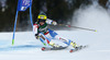 Andrea Ellenberger of Switzerland skiing in first run of women giant slalom race of Audi FIS Alpine skiing World cup in Lienz, Austria. Women giant slalom race of Audi FIS Alpine skiing World cup 2013-2014 was held on Saturday, 28th of December 2013 in Lienz, Austria.
