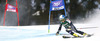 Merle Soppela of Finland skiing in first run of women giant slalom race of Audi FIS Alpine skiing World cup in Lienz, Austria. Women giant slalom race of Audi FIS Alpine skiing World cup 2013-2014 was held on Saturday, 28th of December 2013 in Lienz, Austria.
