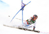  Dominique Gisin of Switzerland  skiing in first run of women giant slalom race of Audi FIS Alpine skiing World cup in Lienz, Austria. Women giant slalom race of Audi FIS Alpine skiing World cup 2013-2014 was held on Saturday, 28th of December 2013 in Lienz, Austria.
