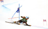 Marie-Michele Gagnon of Canada skiing in first run of women giant slalom race of Audi FIS Alpine skiing World cup in Lienz, Austria. Women giant slalom race of Audi FIS Alpine skiing World cup 2013-2014 was held on Saturday, 28th of December 2013 in Lienz, Austria.
