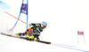 Tanja Poutiainen of Finland skiing in first run of women giant slalom race of Audi FIS Alpine skiing World cup in Lienz, Austria. Women giant slalom race of Audi FIS Alpine skiing World cup 2013-2014 was held on Saturday, 28th of December 2013 in Lienz, Austria.
