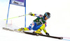 Ana Drev of Slovenia skiing in first run of women giant slalom race of Audi FIS Alpine skiing World cup in Lienz, Austria. Women giant slalom race of Audi FIS Alpine skiing World cup 2013-2014 was held on Saturday, 28th of December 2013 in Lienz, Austria.
