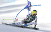 Andrea Fischbacher of Austria skiing in first run of women giant slalom race of Audi FIS Alpine skiing World cup in Lienz, Austria. Women giant slalom race of Audi FIS Alpine skiing World cup 2013-2014 was held on Saturday, 28th of December 2013 in Lienz, Austria.
