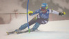 Nevena Ignjatovic of Serbia skiing in first run of women slalom race of Audi FIS Alpine skiing World cup in Lienz, Austria. Women slalom race of Audi FIS Alpine skiing World cup 2013-2014 was held on Sunday, 29th of December 2013 in Lienz, Austria.

