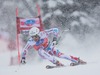 Brice Roger of France in action during mens downhill of the Bormio FIS Ski Alpine World Cup at the Stelvio Course in Bormio, Italy on 2013/12/29.
