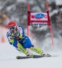 Andrej Sporn of Slovenia in action during mens downhill of the Bormio FIS Ski Alpine World Cup at the Stelvio Course in Bormio, Italy on 2013/12/29.
