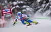 Rok Perko of Slovenia in action during mens downhill of the Bormio FIS Ski Alpine World Cup at the Stelvio Course in Bormio, Italy on 2013/12/29.
