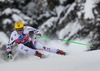 Max Franz of Austria in action during mens downhill of the Bormio FIS Ski Alpine World Cup at the Stelvio Course in Bormio, Italy on 2013/12/29.
