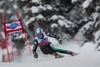 Werner Heel of Italy in action during mens downhill of the Bormio FIS Ski Alpine World Cup at the Stelvio Course in Bormio, Italy on 2013/12/29.
