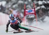 Werner Heel of Italy in action during mens downhill of the Bormio FIS Ski Alpine World Cup at the Stelvio Course in Bormio, Italy on 2013/12/29.
