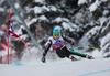 Christof Innerhofer of Italy in action during mens downhill of the Bormio FIS Ski Alpine World Cup at the Stelvio Course in Bormio, Italy on 2013/12/29.
