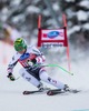 Klaus Kroell of Austria in action during mens downhill of the Bormio FIS Ski Alpine World Cup at the Stelvio Course in Bormio, Italy on 2013/12/29.
