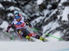Steven Nyman of the USA in action during mens downhill of the Bormio FIS Ski Alpine World Cup at the Stelvio Course in Bormio, Italy on 2013/12/29.
