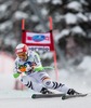 Josef Ferstl of Germany in action during mens downhill of the Bormio FIS Ski Alpine World Cup at the Stelvio Course in Bormio, Italy on 2013/12/29.
