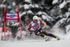 Jeffrey Frisch of Canada in action during mens downhill of the Bormio FIS Ski Alpine World Cup at the Stelvio Course in Bormio, Italy on 2013/12/29.
