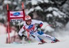 Nils Mani of Switzerland in action during mens downhill of the Bormio FIS Ski Alpine World Cup at the Stelvio Course in Bormio, Italy on 2013/12/29.
