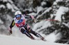 Natko Zrncic-Dim of Croatia in action during mens downhill of the Bormio FIS Ski Alpine World Cup at the Stelvio Course in Bormio, Italy on 2013/12/29.
